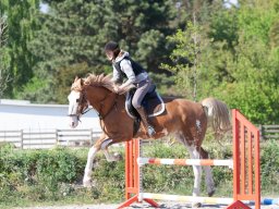 IMG_0637_web